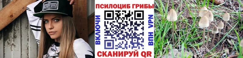 hydra ONION  Гай  Псилоцибиновые грибы Cubensis 