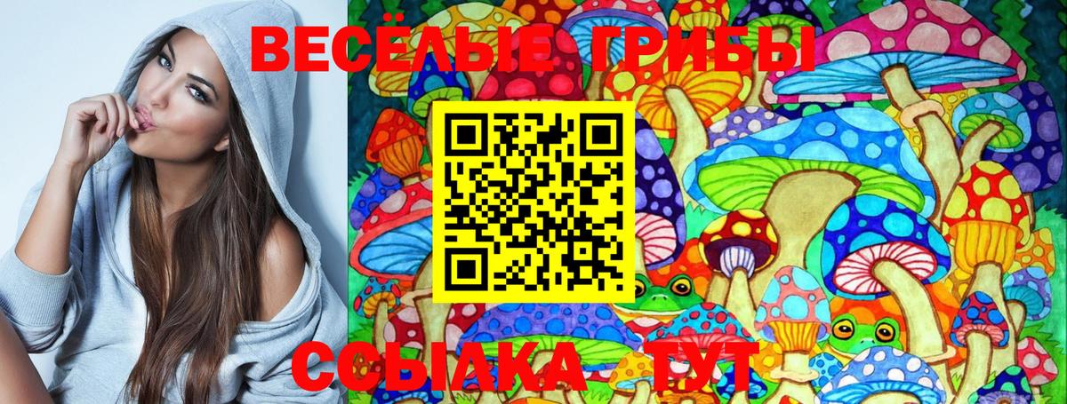 Псилоцибиновые грибы мицелий Гай
