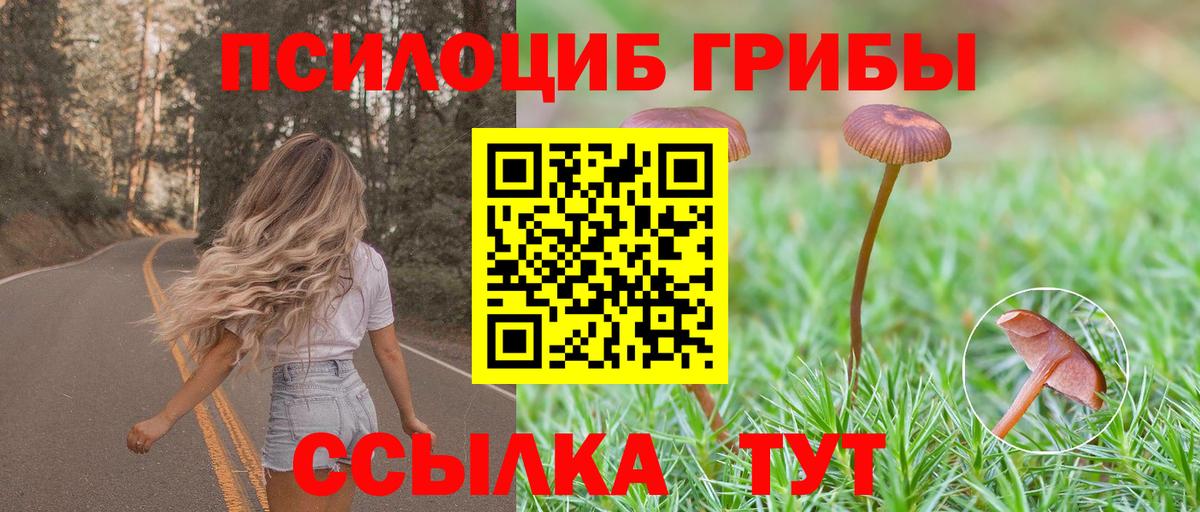 Галлюциногенные грибы мухоморы  Вход с VPN  Гай 