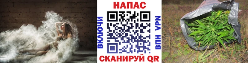 наркошоп  Гай  Каннабис Ganja 